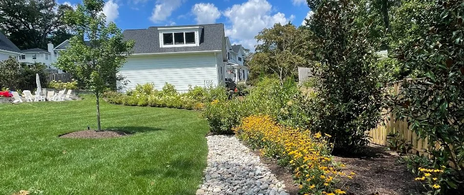 Lawn and landscape in Alexandria, VA, with shrubs and flowers.